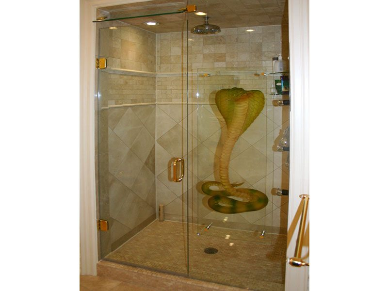 Shower Enclosure Cobra
